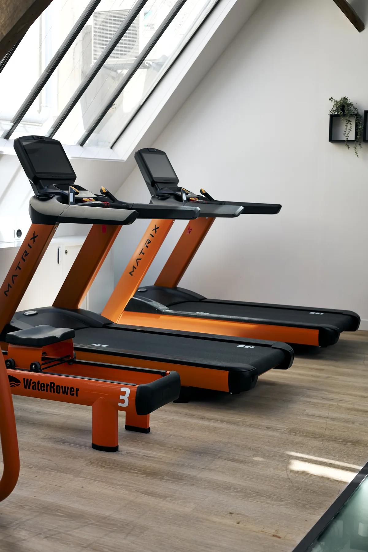 Plateau cardio salle Maison du Peps Marais tapis de course MATRIX et WaterRower